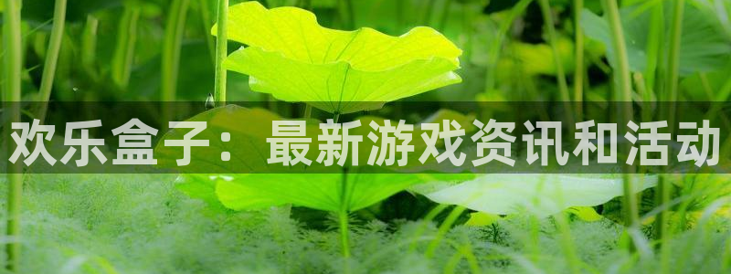 杜邦娛樂網頁登錄入口官網：歡樂盒子：最新遊戲資訊和活動