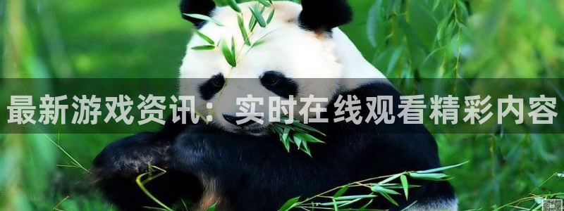 手機杜邦娛樂下載安裝：最新遊戲資訊：實時在線觀看精彩內容