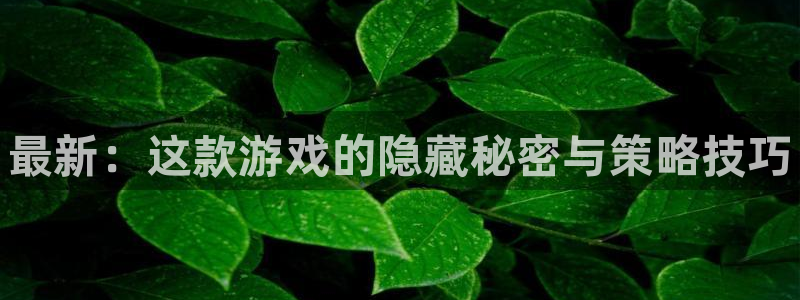 杜邦娛樂什麽意思：最新：這款遊戲的隱藏秘密與策略技巧
